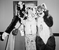 Unknown, Jelly, Koda