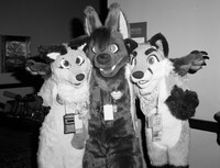 Sam, Unknown, Flare
