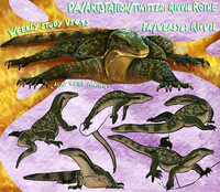 WeeklyStudies V3 #93 Asian Water Monitor