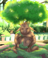 Grain bonsai boy