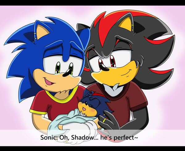 Sonic x shadow.. perfect