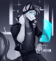 Finished commission