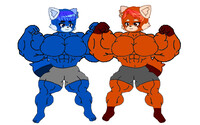Miguel and josh the muscular panda's