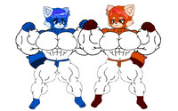 Miguel and josh the muscular red pandas (karate)