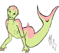 Sally salmon finished