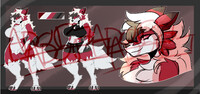 lycanroc adopt