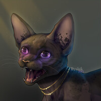 Sphynx cat | sketch