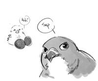dumbass bird meme