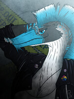 Magpie, eel flavour?