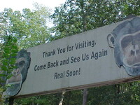 Thank You For Visiting