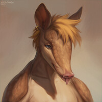 [r] Boosty request for Jooper ~