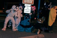 Video Surviellance in Progess!