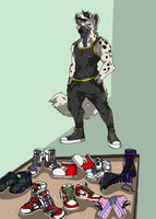 A Sticky Selection Of Stolen Sneakers. Commission.