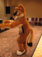 I Haz Moves!
