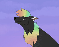 Rainbow kittydog OPEN