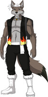 SoCha Snowfire
