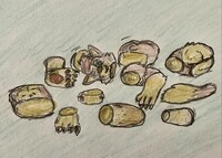 102823 Coyote Kibbles