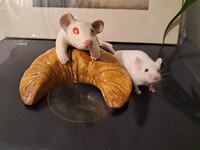 Squeaky with Croissant