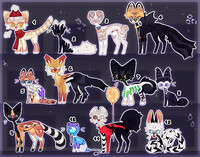 adopt CLOSED set price