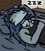 woof sleeping soundly in the morning~ 🐺💤