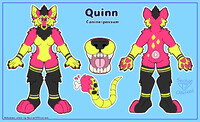 Quinn Ref Sheet