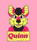 Quinn Sign Badge