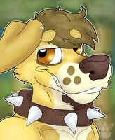 Asher Icon