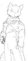 Uniformed cat