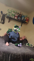 IRL TF: floragato