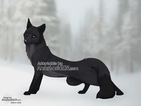 Fox adoptable