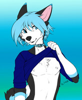 Cheap Ychs for Sale! Lots to choose from in my scraps
