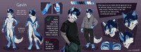 Gavin Reference Sheet