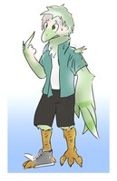 bird tf