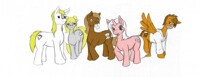 MLP group