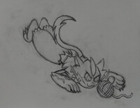 Zeraora playing with a yarn (Sketch)