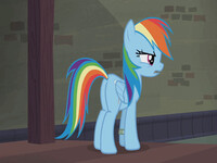 Rainbow Dash Bagged