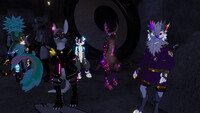 Vibe Night 11/25 - Roos And Friends