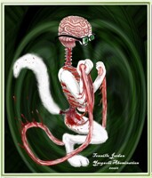 Yaegashi Abomination!