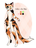 Calico