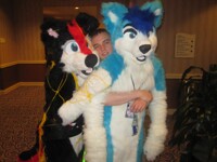 Wolf sandwich