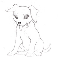 pup sketch