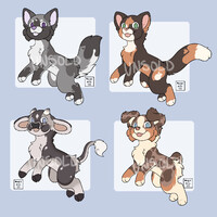 CHIBI ADOPTS