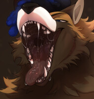 COMMISSION RESULT (version 2)