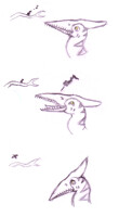 Singing with the birds