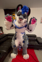 Full body digitigrade toony - Commission Byakko