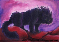 ACEO: Shadynka