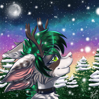 Seth (Christmas gift #1)