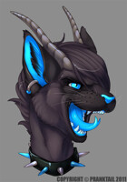 Dark Kace headshot