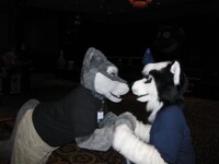 eskimo kisses