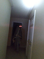 FEVER THE DREAM ENTITY